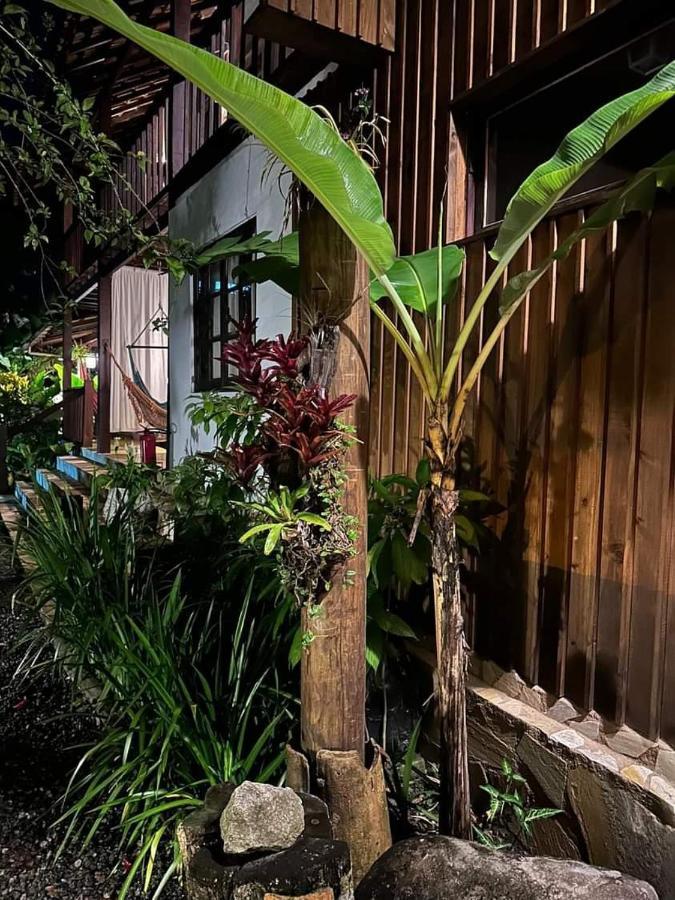 Planeta Banana Paraty Araquari Exterior foto